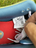 Authentic Nike Dunk Low “Siempre Familia”