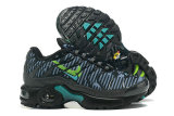 Air Max Plus Shoes - 013
