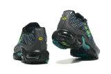Air Max Plus Shoes - 013