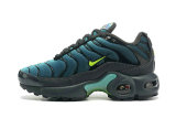 Air Max Plus Shoes - 012