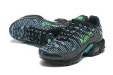 Air Max Plus Shoes - 013