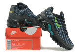 Air Max Plus Shoes - 013