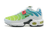 Air Max Plus Shoes - 011