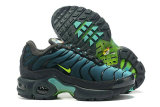 Air Max Plus Shoes - 012