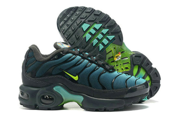 Air Max Plus Shoes - 012