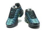 Air Max Plus Shoes - 012