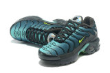 Air Max Plus Shoes - 012