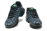 Air Max Plus Shoes - 013