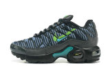 Air Max Plus Shoes - 013