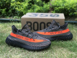 Authentic Y 350 V2 Carbel/Stegry/Solred