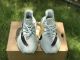 Authentic Y 350 V2