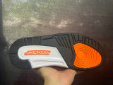 Air Jordan 3 Shoes AAA (87)