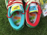 Authentic Nike Dunk Low Colours