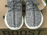 Authentic Y 350 “Turtle Dove”