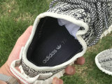 Authentic Y 350 “Turtle Dove”