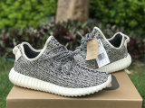 Authentic Y 350 “Turtle Dove”