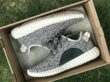 Authentic Y 350 “Turtle Dove”