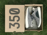 Authentic Y 350 “Turtle Dove”