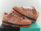 Authentic Concepts x Nike SB Dunk Orange Lobster