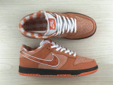 Authentic Concepts x Nike SB Dunk Orange Lobster