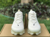Authentic Nike Air Max Scorpion Phantom/Black-Light Cream-Lemon Wash