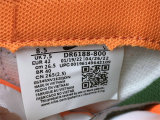 Authentic Nike Dunk Low Safety Orange/Green-White