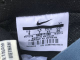 Authentic Nike Dunk Low Light Cream