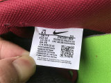 Authentic Nike Dunk Low Next Nature