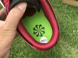 Authentic Nike Dunk Low Next Nature