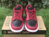 Authentic Nike Dunk Low Next Nature
