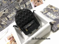 Dior Backpack (2)