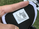 Authentic Air Jordan 1 GS “Invert”