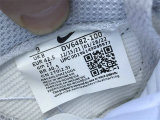 Authentic Nike Dunk Low White/Grey (3D-Styled Swooshes)