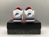 Perfect Air Jordan 3 (60)
