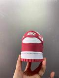 Nike Dunk SB Low (60)