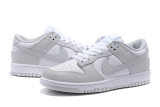 Nike Dunk SB Low (60)