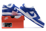 Nike Dunk SB Low (60)