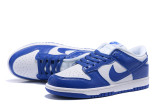 Nike Dunk SB Low (60)