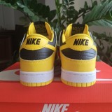 Nike Dunk SB Low (62)