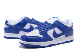 Nike Dunk SB Low (60)