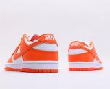 Nike Dunk SB Low  (57)