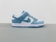 Nike SB Dunk Low (56)
