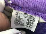 Authentic Nike SB Dunk Low Prm QS White/Blue/Purple