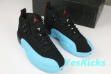 Authentic Air Jordan 12 Gamma Blue