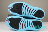Authentic Air Jordan 12 Gamma Blue