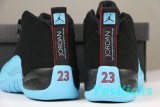 Authentic Air Jordan 12 Gamma Blue