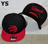 NBA Toronto Raptors Snapback Hat (98)