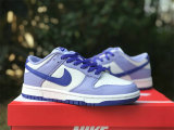 Authentic Nike Dunk Low “Blueberry”