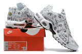Air Max Plus Shoes - 010