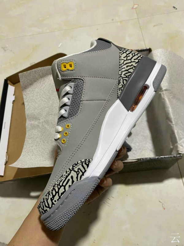 Perfect Air Jordan 3 (72)